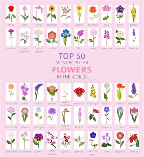 flört most|50 Most Popular Flowers: A Comprehensive Guide to Iconic。